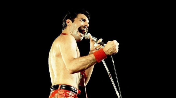 attachment-freddie